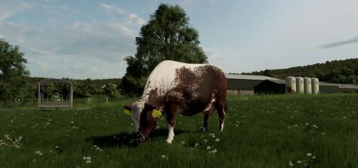 Cow Breeds (RLRM) v1.0.4.0