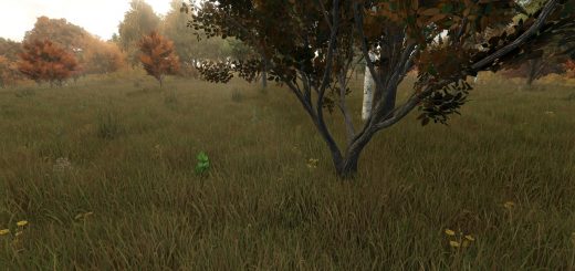 Growing Random Trees BETA v1.0