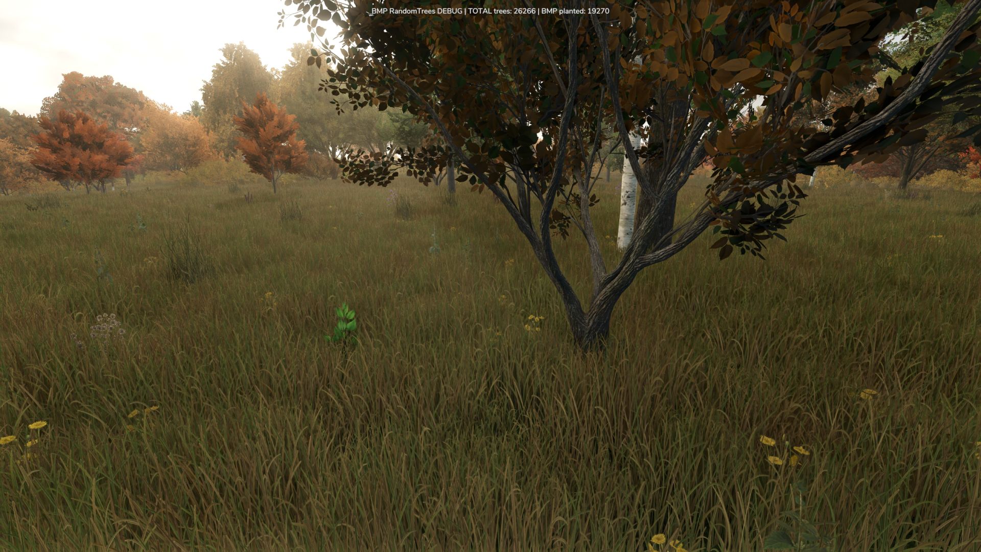 Growing Random Trees BETA v1.0