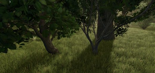 Growing Random Trees BETA v1.0