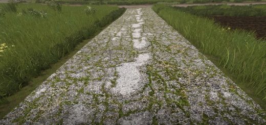 Asphalt and Paved Roads v1.0.0.2