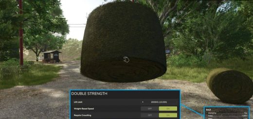 Double Strength v1.3