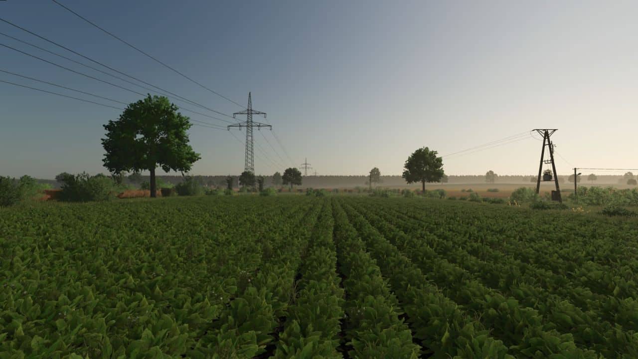 Kotowo v1.0.1.2