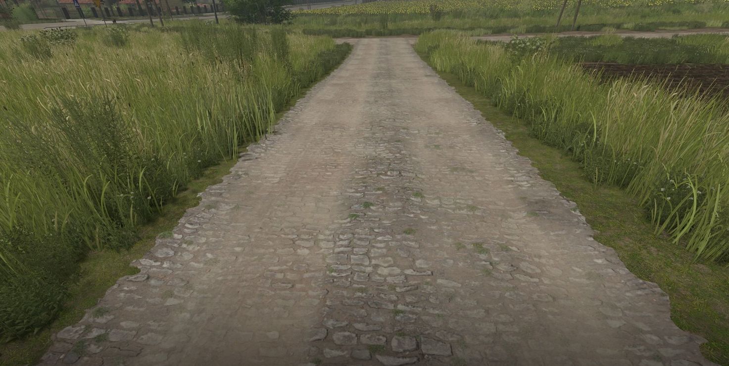 Mud and cobblestone Roads v1.0.0.2