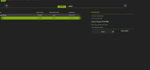 Server Auction v1.0