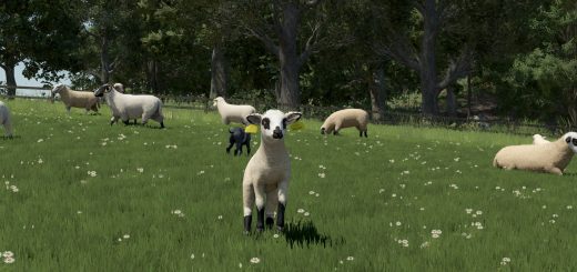Sheep Breeds for RLRM BETA v1.0