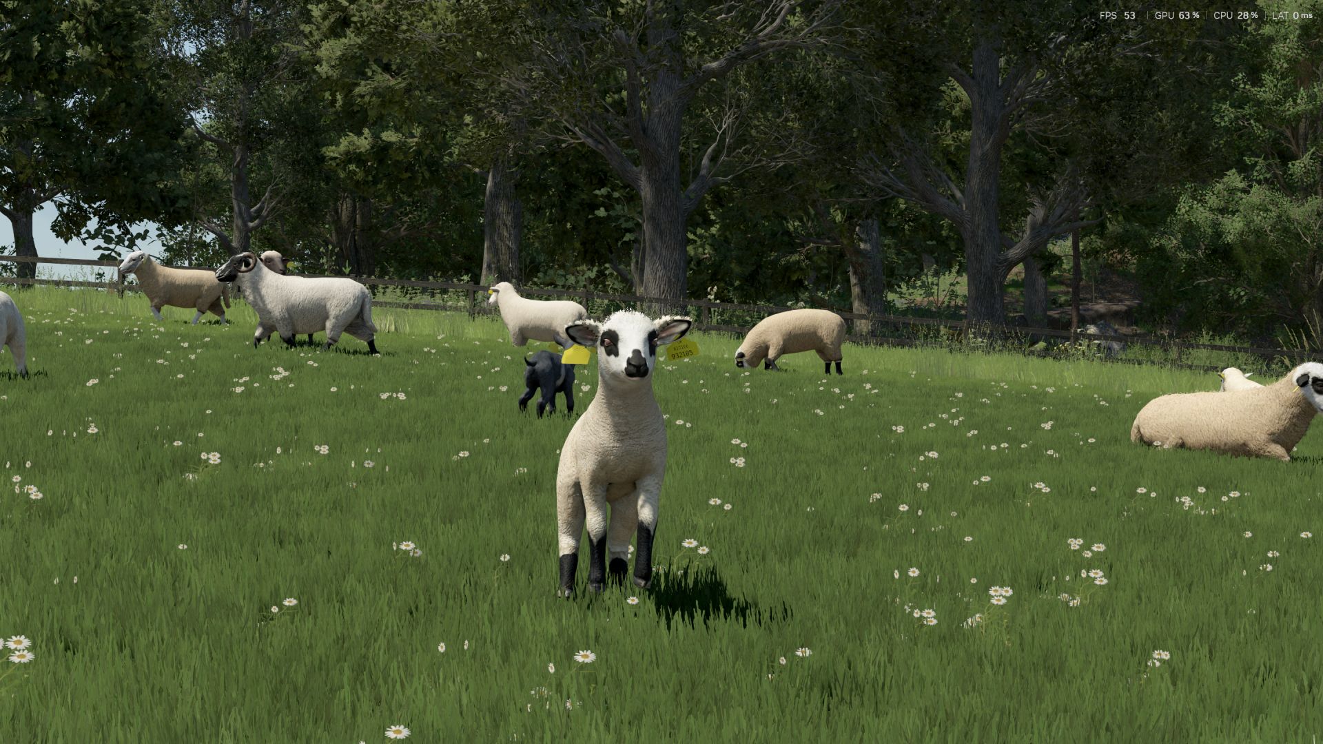 Sheep Breeds for RLRM BETA v1.0