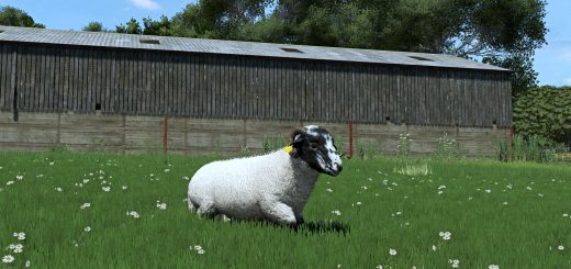 Sheep Breeds for RLRM BETA v1.0