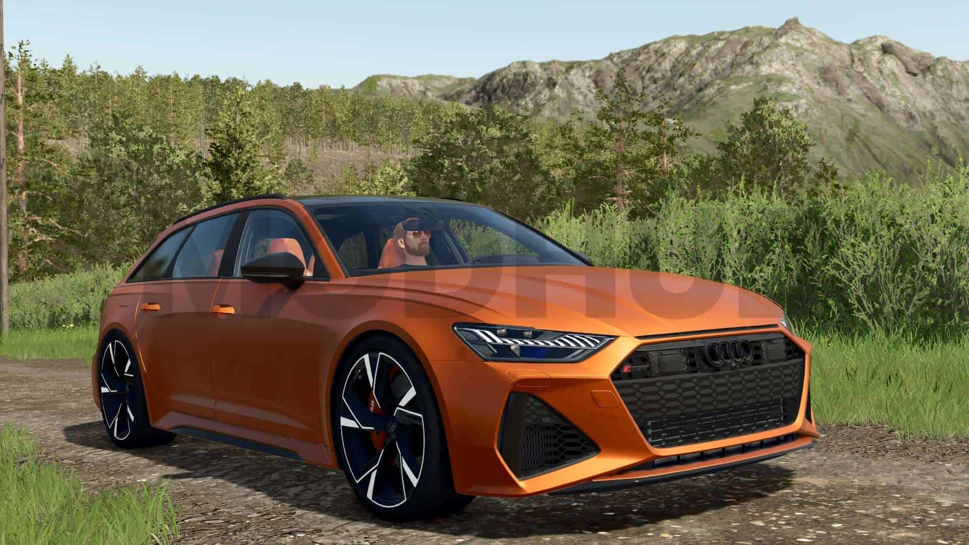 Audi RS6 v1.1.1