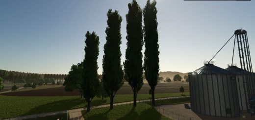 Black poplar (tree) v1.0.2.0