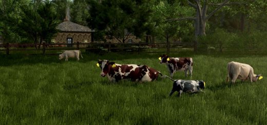 Cow Breeds (RLRM) v1.1