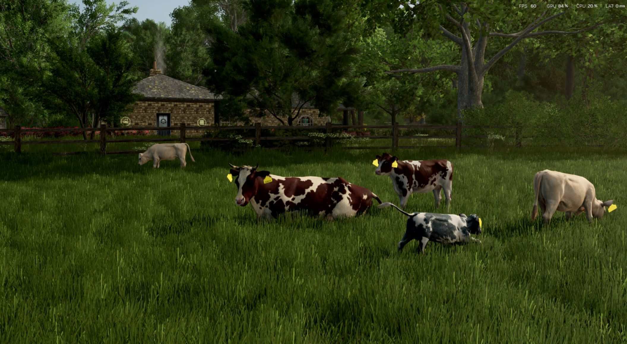 Cow Breeds (RLRM) v1.1