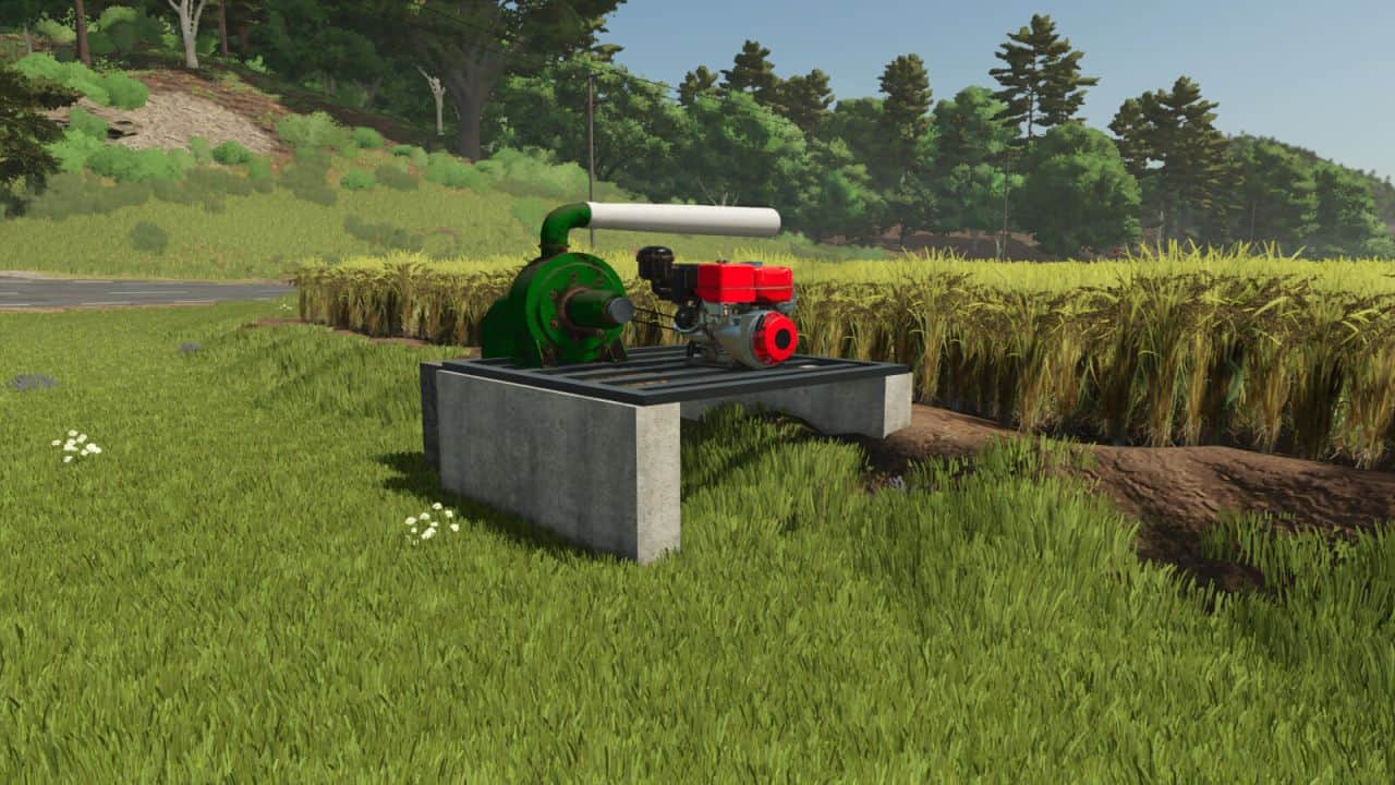 Custom Rice Fields BR v1.0