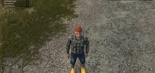 Dutch clogs v1.0