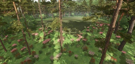 Forest Challenge v1.0.0.1