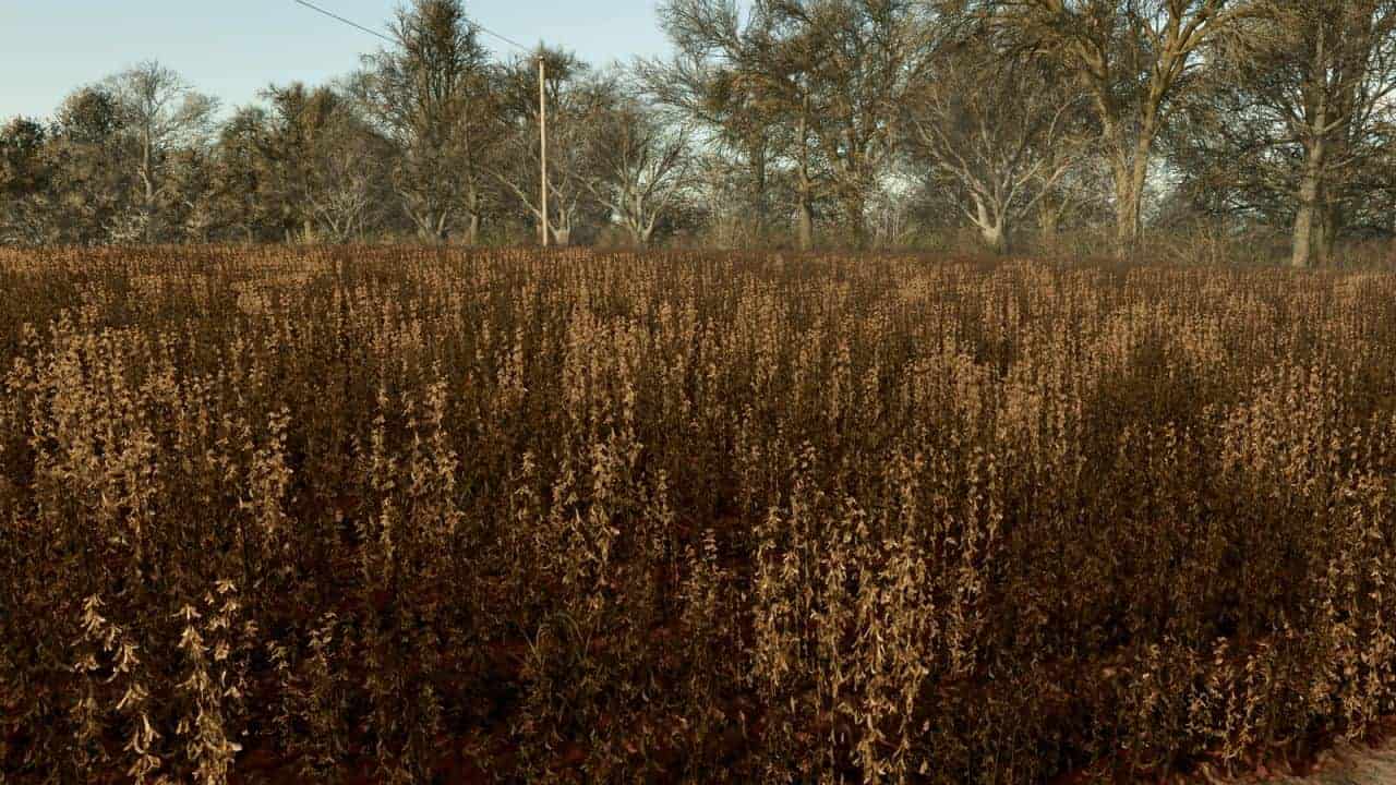 Improved Soybean Textures With Destructible Stubble v1.0