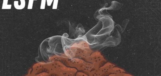 LSFM Manure Addon v1.0