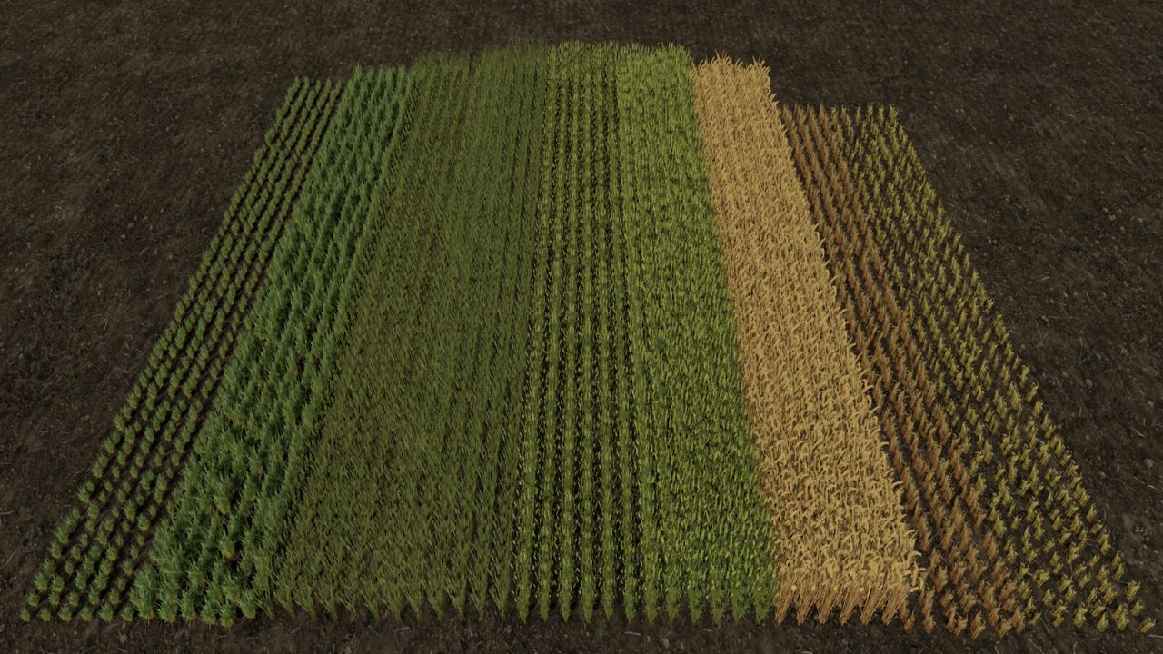 Row Seeding Barley, Oat, Wheat, Canola v1.1