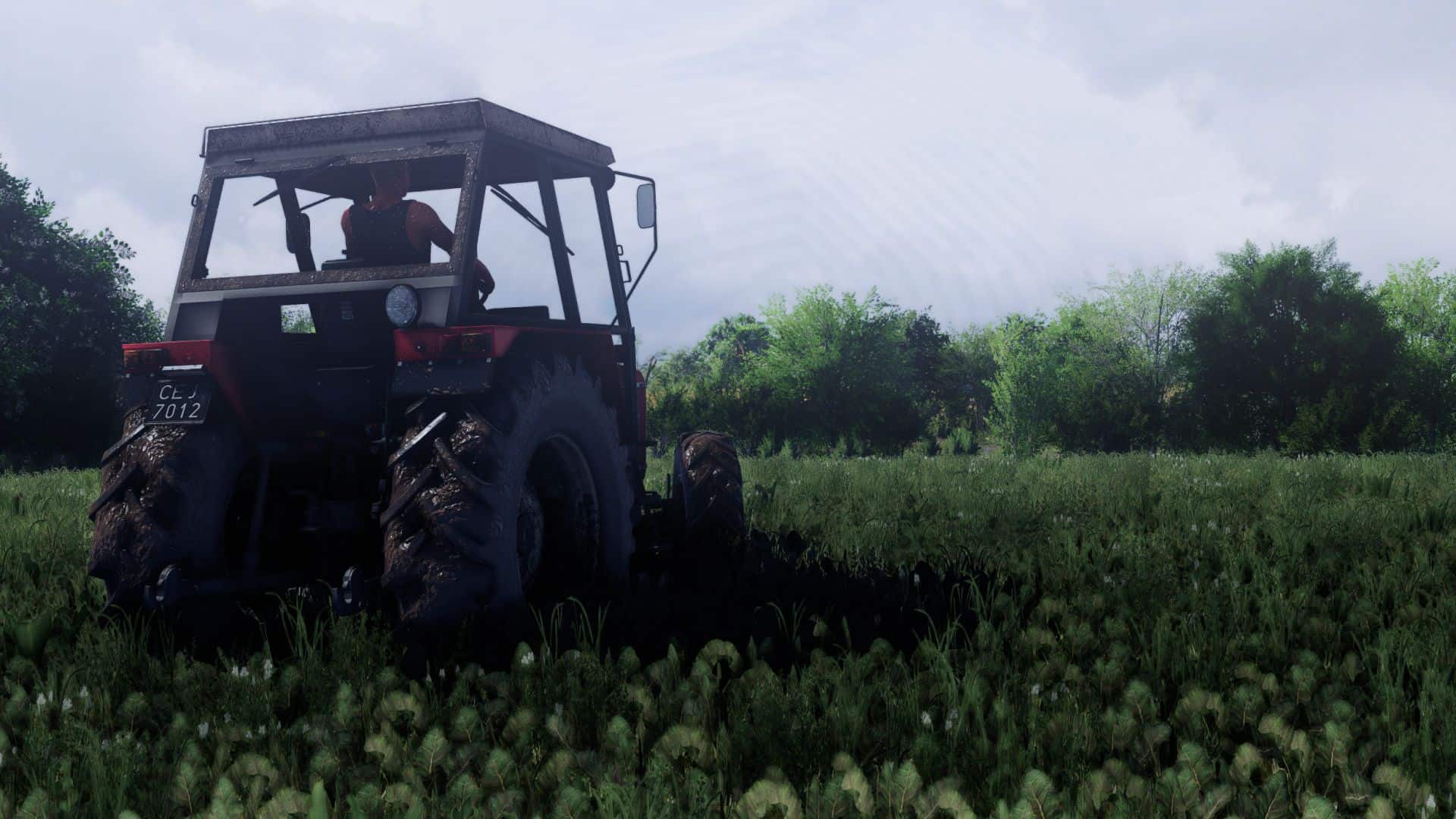 Rzep Shaders V2 + Lighting v1.0