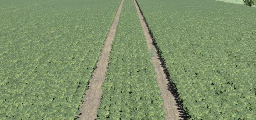 Thicker soy v1.0.0.1