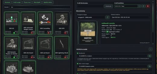 BXR Mod Manager v1.1.0.2