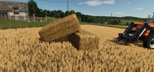 Bale Physics Stabilizer v1.0