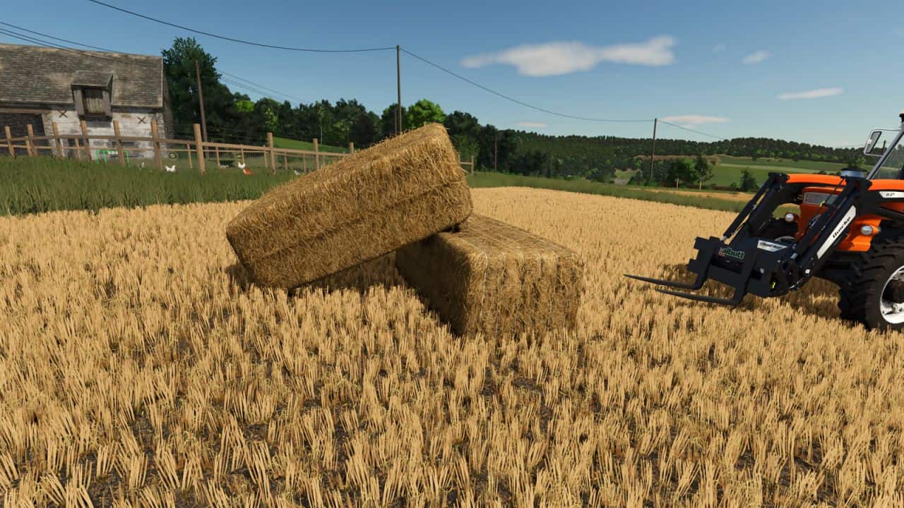 Bale Physics Stabilizer v1.0