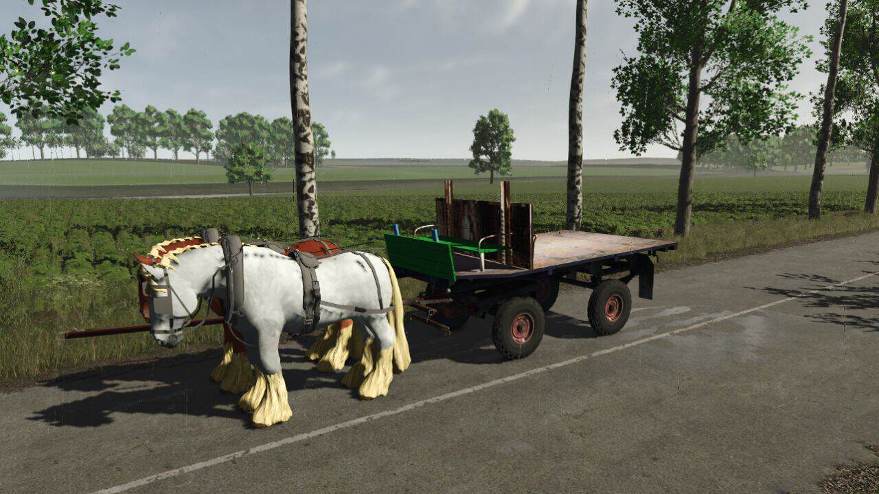 Bale horse drawn carriage v1.0