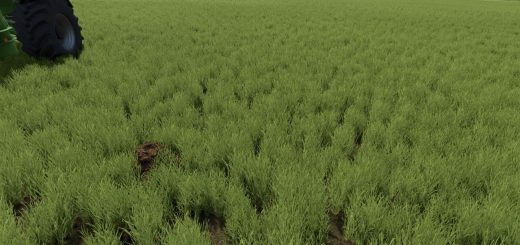 Dynamic Molehills v1.0