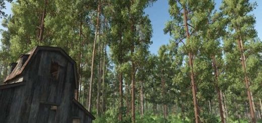Forest Converter v1.0