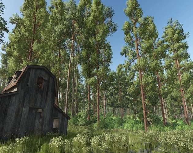 Forest Converter v1.0