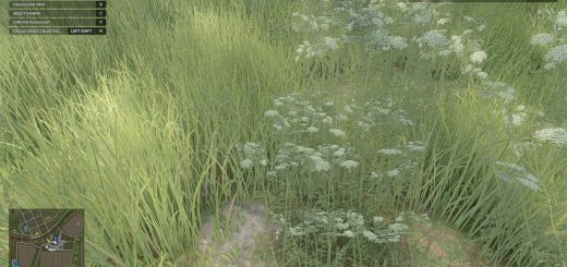 Grass Collection v1.0