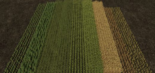 Row Seeding Barley, Oat, Wheat, Canola, Mulitfruit v1.2