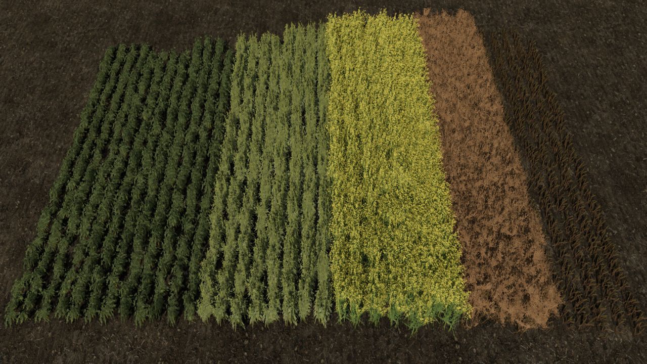Row Seeding Barley, Oat, Wheat, Canola, Mulitfruit v1.2
