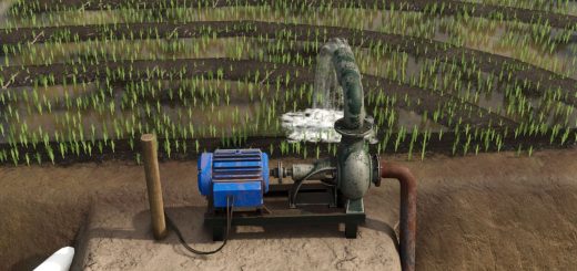 Southern Brazilian Rice Fields v1.0