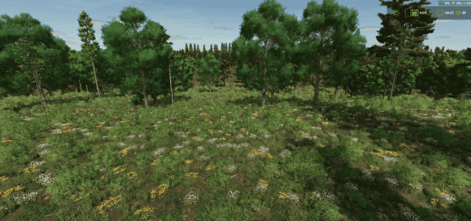 VALLOMBROSA FOREST v1.0