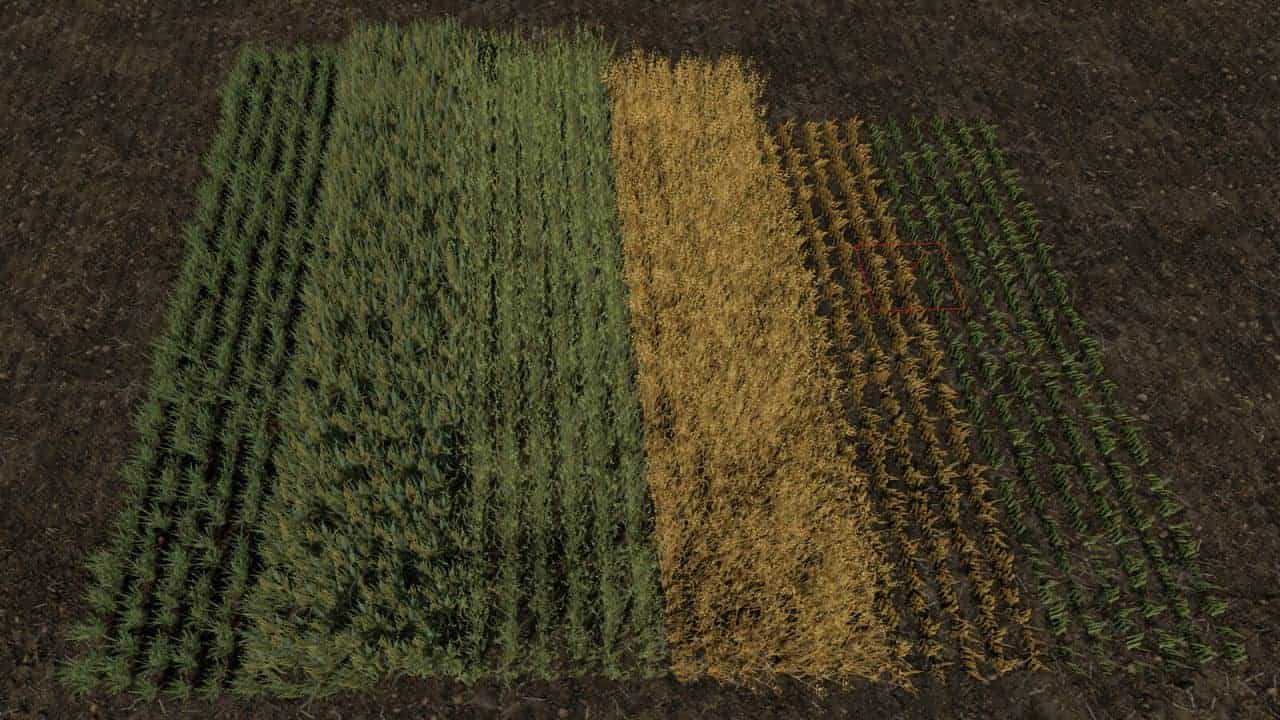 Row Seeding Barley, Oat, Wheat, Canola, Mulitfruit v1.3 thumbnail 2