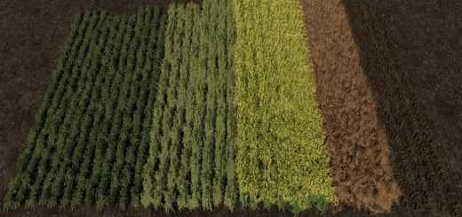 Row Seeding Barley, Oat, Wheat, Canola, Mulitfruit v1.3