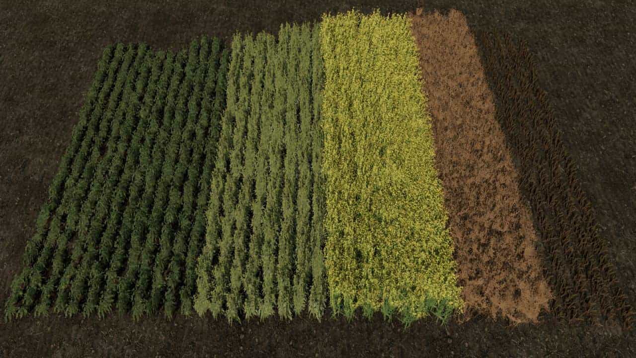 Row Seeding Barley, Oat, Wheat, Canola, Mulitfruit v1.3
