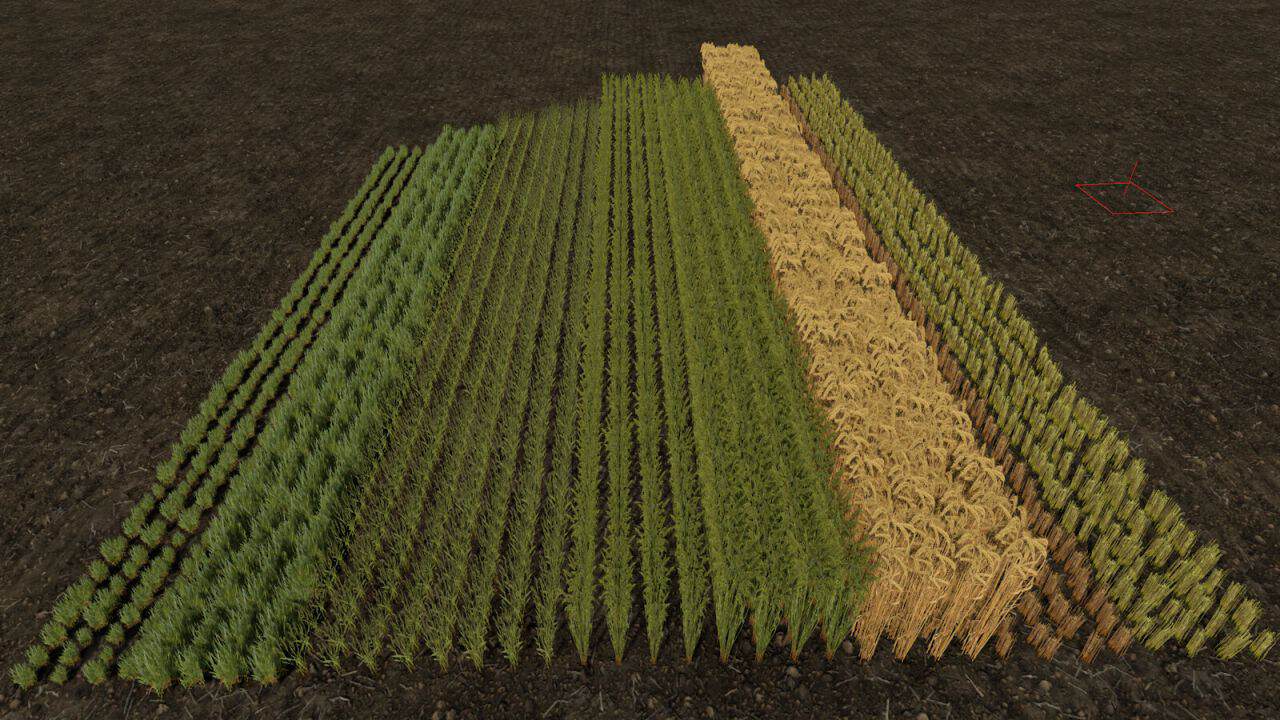 Row Seeding Barley, Oat, Wheat, Canola, Mulitfruit v1.3 thumbnail 4