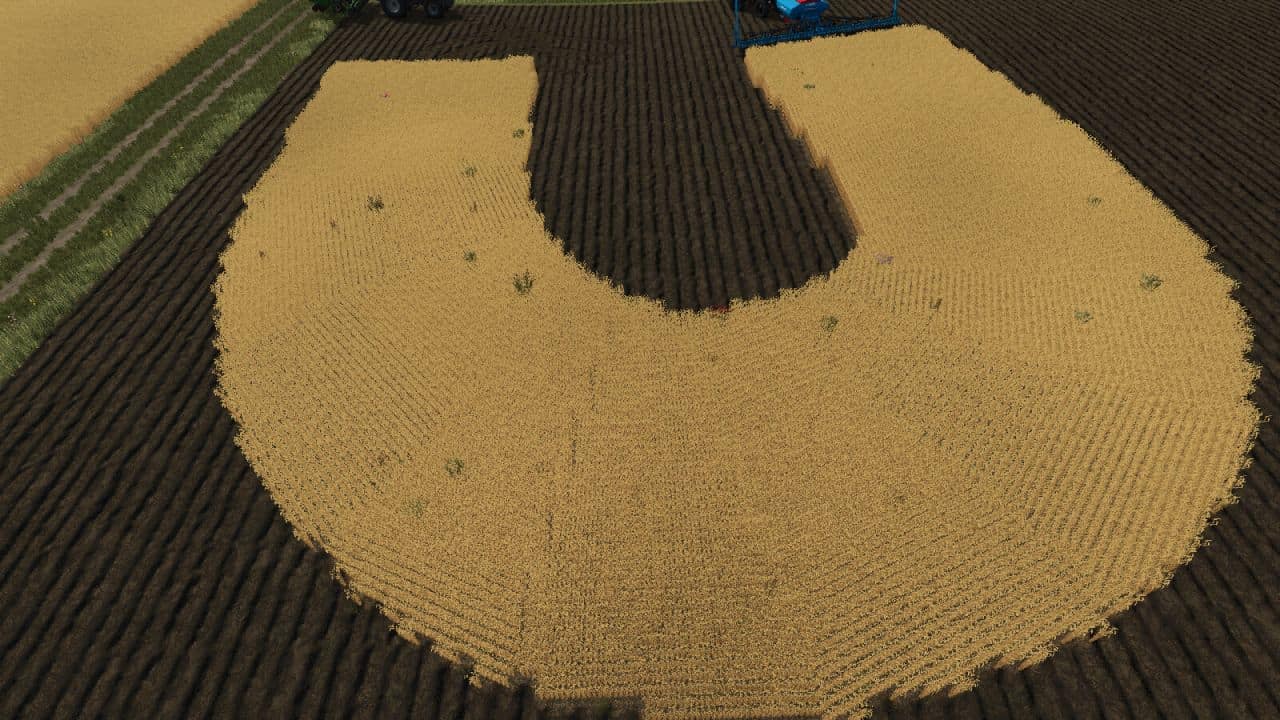 Row Seeding Barley, Oat, Wheat, Canola, Mulitfruit v1.3 thumbnail 5