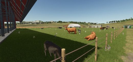 Storefront Stable Options For Husbandry v1.0