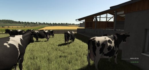 Animal Dirt HUD V1.0