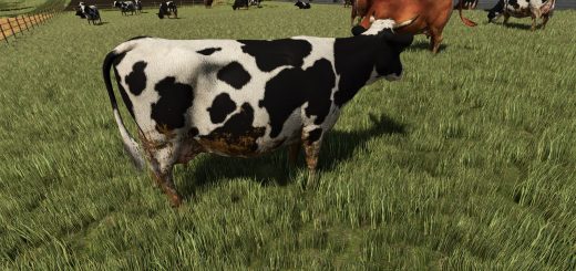 Animal Dirt Wash V1.0
