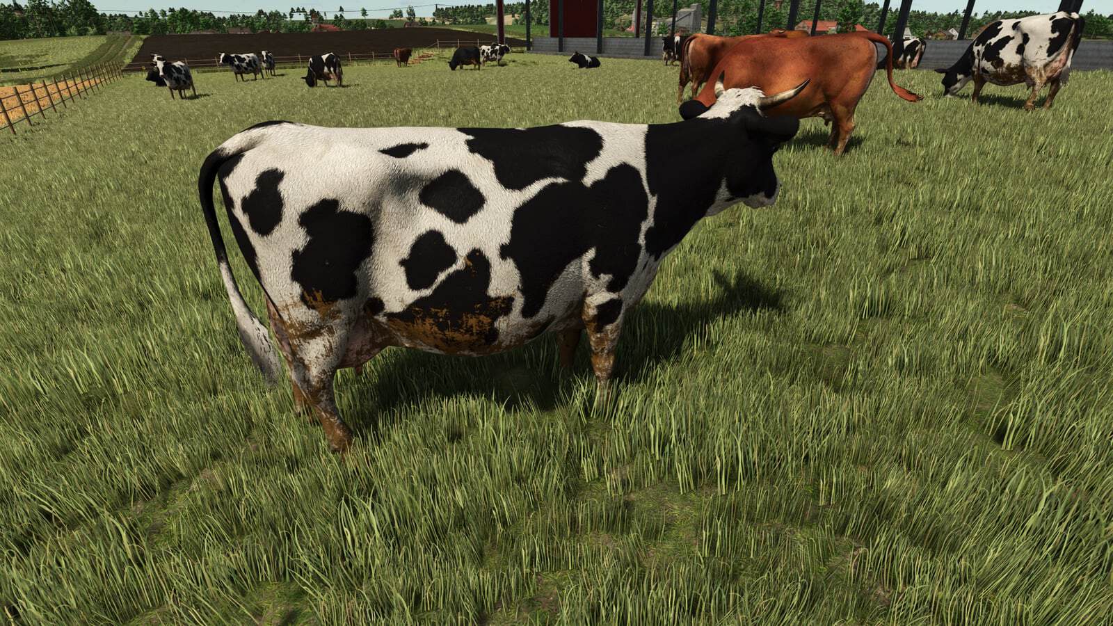 Animal Dirt Wash V1.0