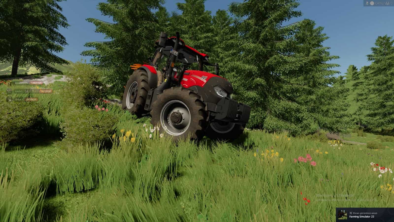 Case IH Maxxum 2024 V1.0