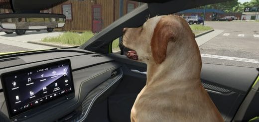 Dog Companion