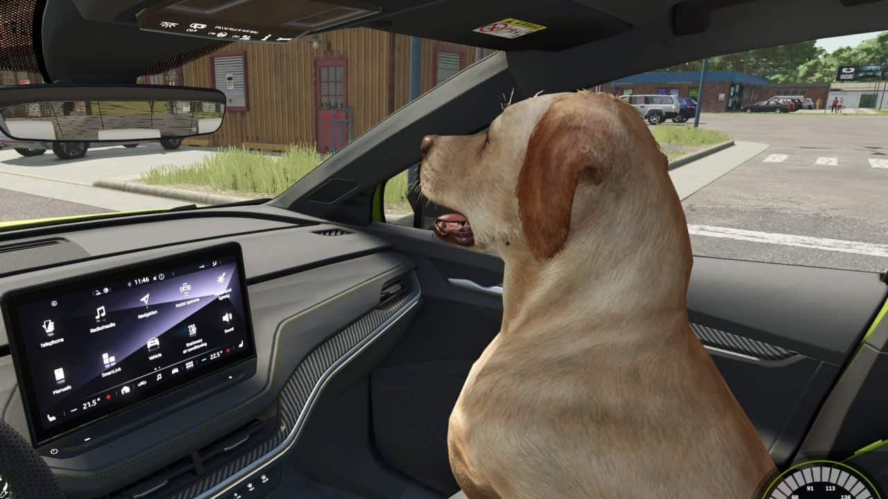 Dog Companion