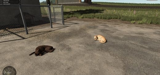 HB Doghouse V1.0