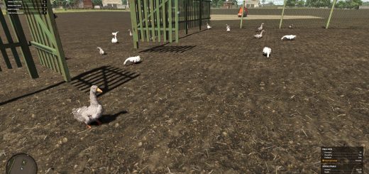 HB Goose Stable V1.0